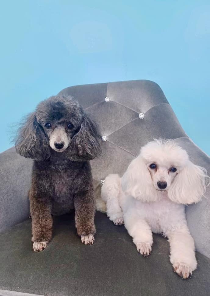 Dutchess & Sylvia