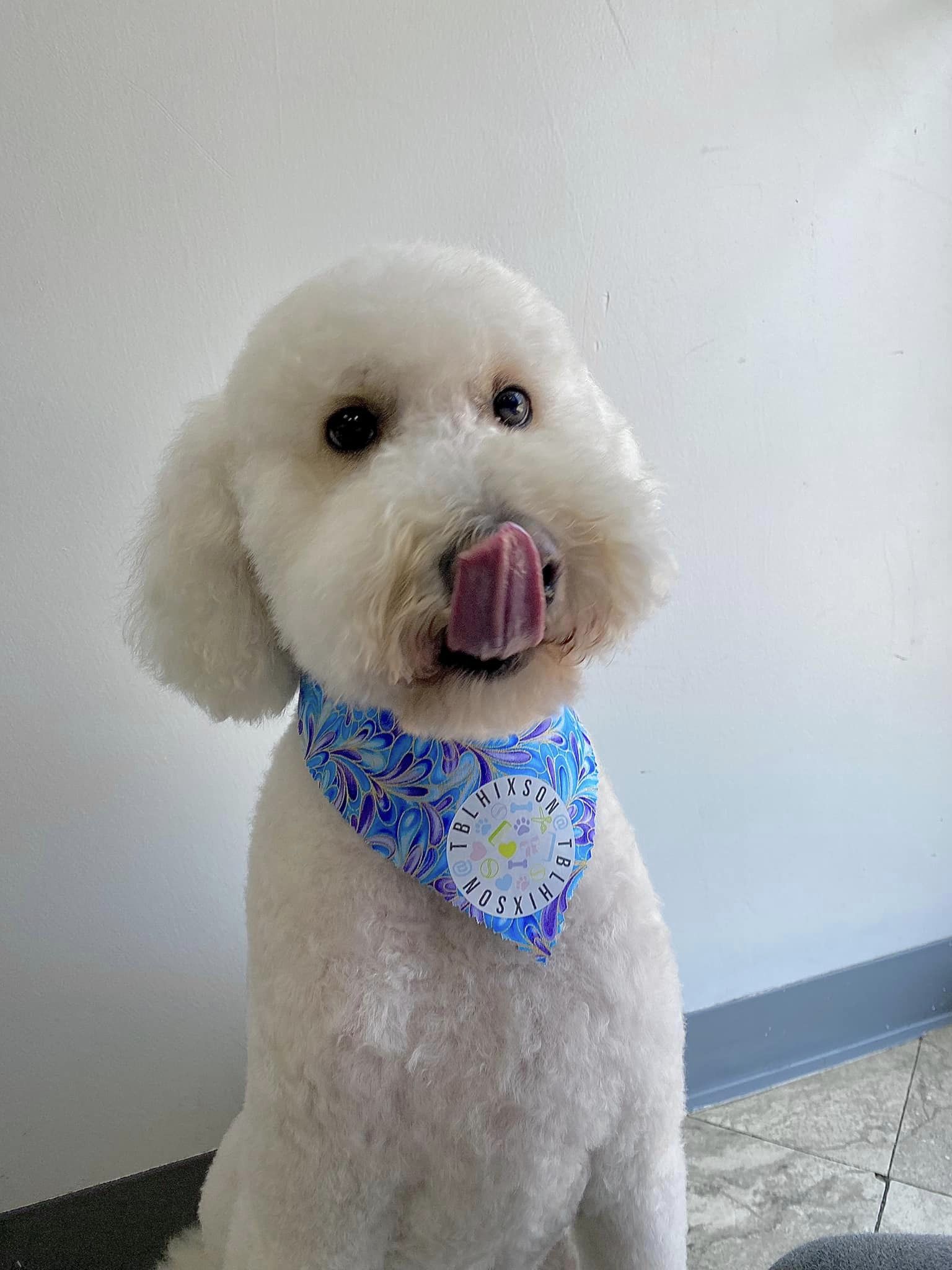 Finn