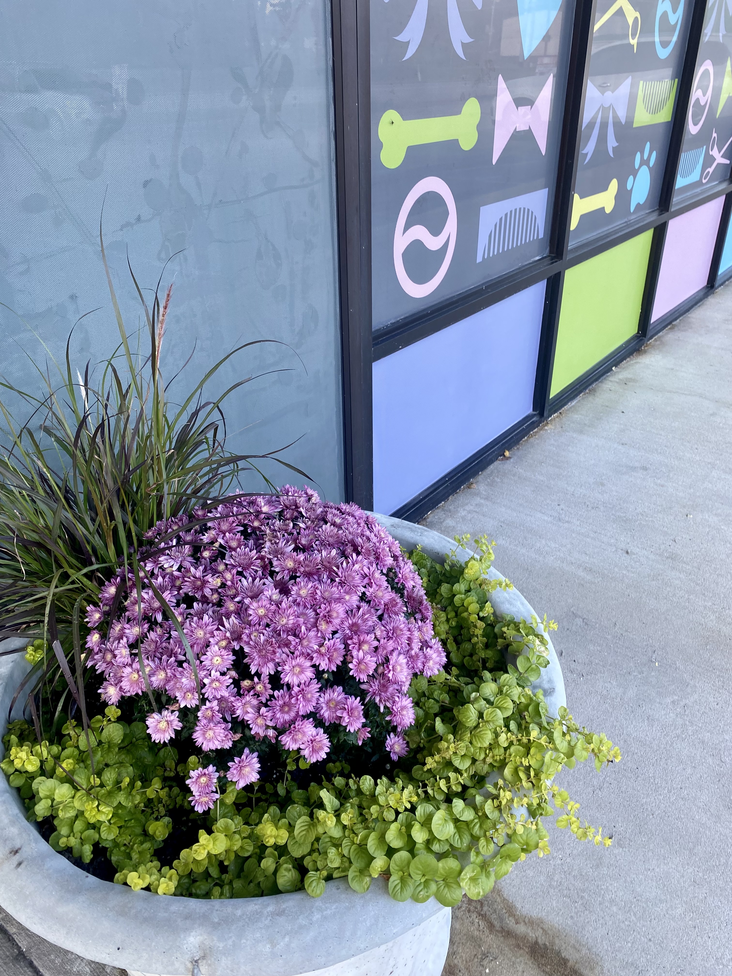 TBL flowers