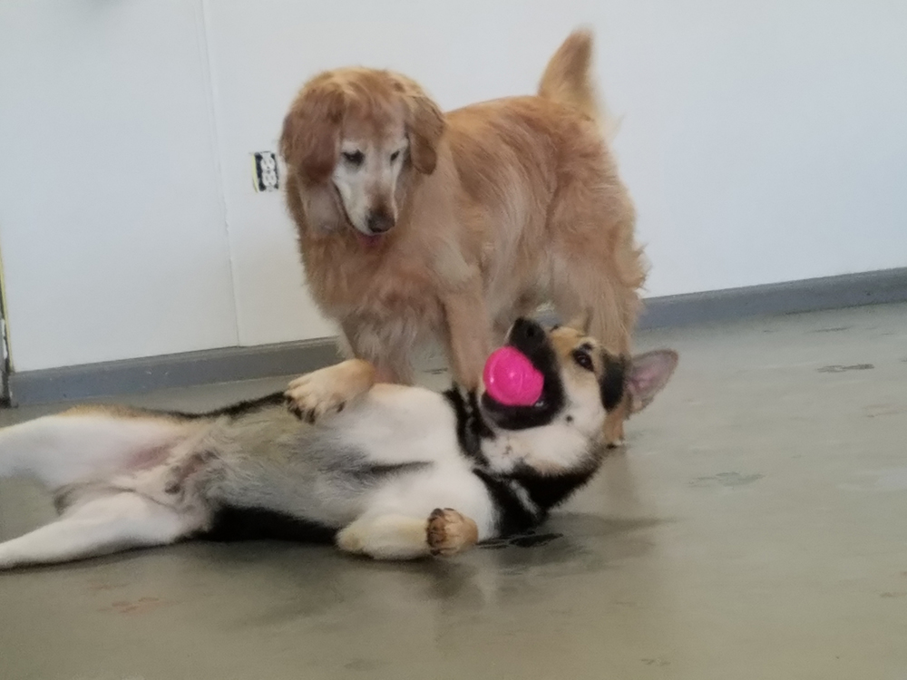 Thor & Sunni
