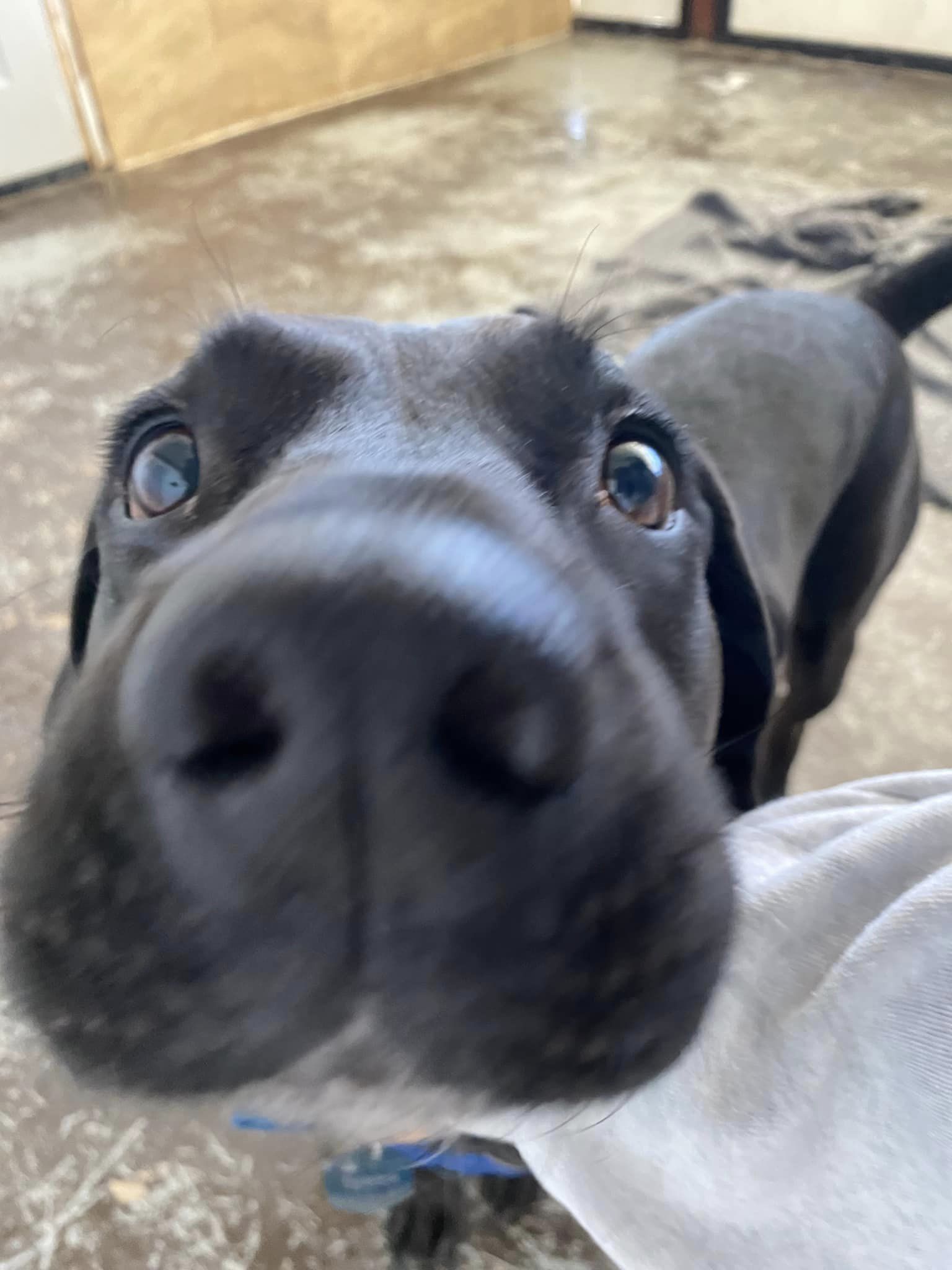 Tyson